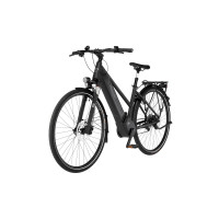Fischer E-Trekking Bike Viator 6.0i